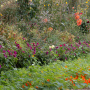 20191026-Giverny-herfst-21
