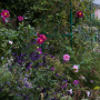 20191026-Giverny-herfst-23