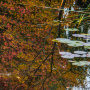 20191026-Giverny-herfst-35