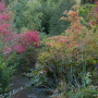 20191026-Giverny-herfst-46
