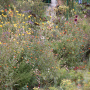 20191026-Giverny-herfst-58