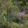 20191026-Giverny-herfst-59